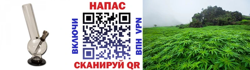Где продают наркотики Бутурлиновка Марихуана Меф Гашиш