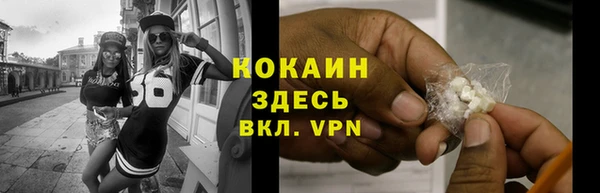 кокс Богородицк