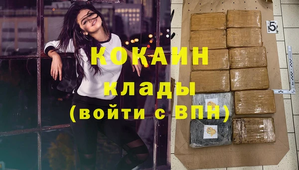 кокс Богородицк