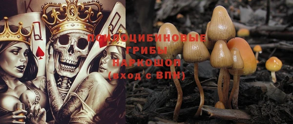 кокс Богородицк