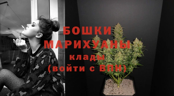кокс Богородицк