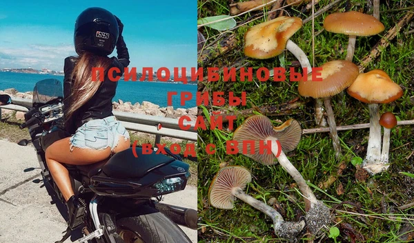кокс Богородицк
