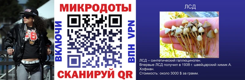 купить сайты Бутурлиновка Псилоцибиновые грибы мухоморы